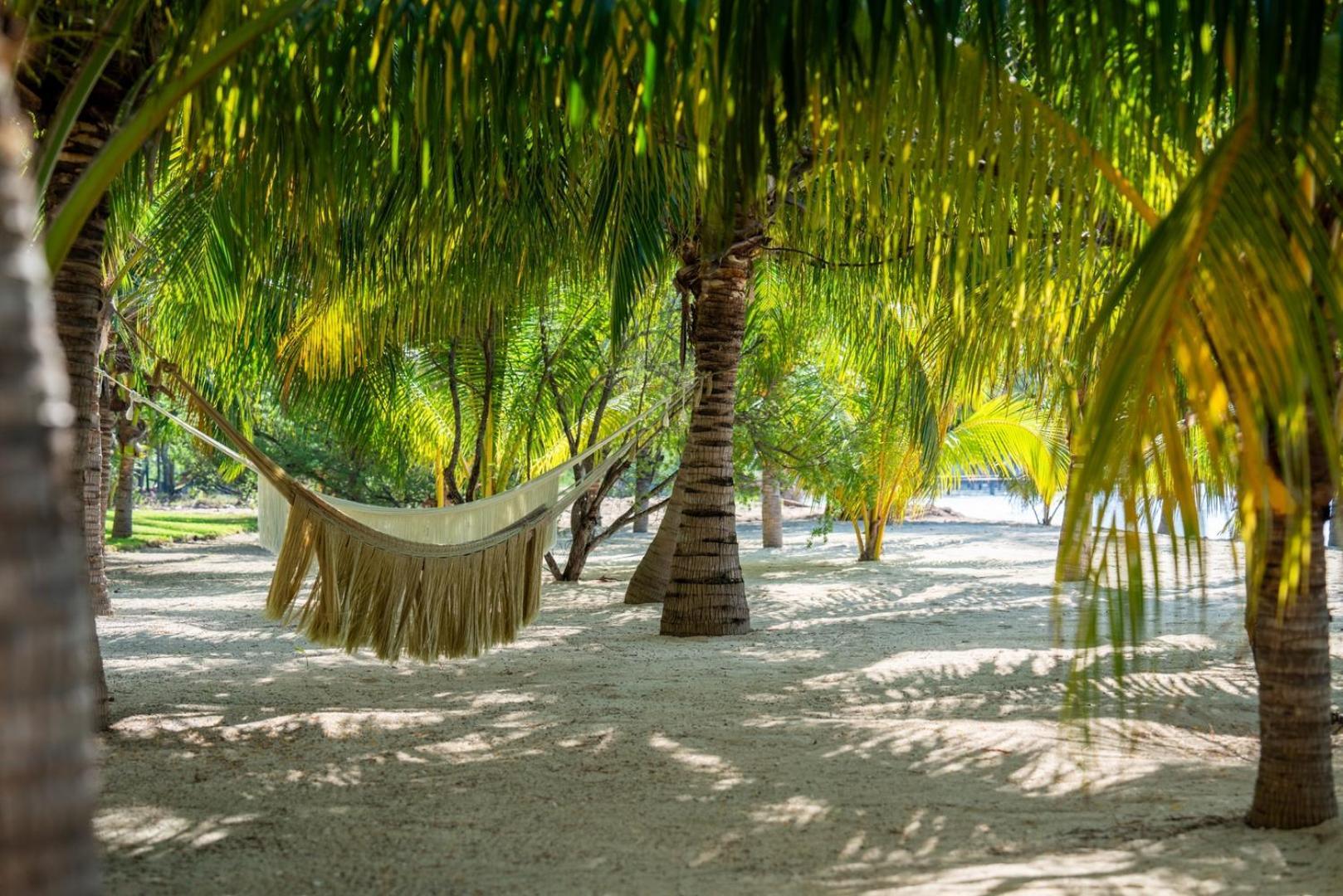 4br Luxury Beachfront W/ Heated Pool Apartamento Isla Mujeres